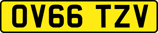 OV66TZV