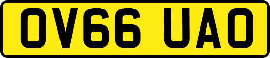 OV66UAO