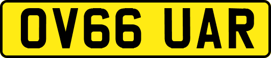 OV66UAR