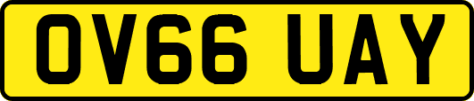 OV66UAY