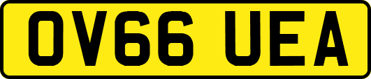 OV66UEA