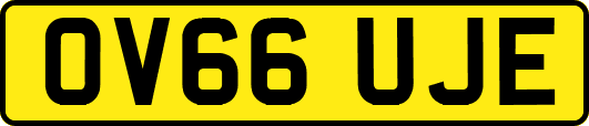 OV66UJE