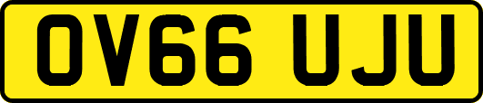 OV66UJU