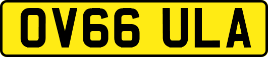 OV66ULA