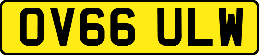 OV66ULW