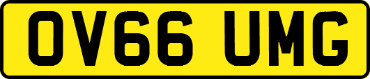 OV66UMG