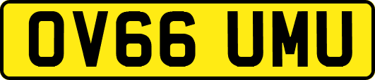 OV66UMU