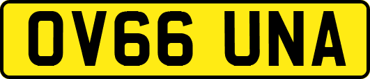 OV66UNA