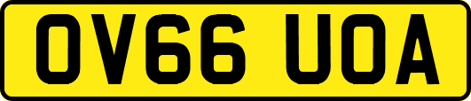 OV66UOA