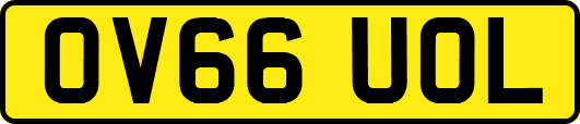 OV66UOL