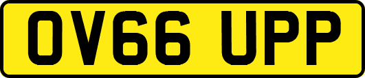 OV66UPP