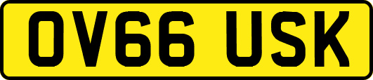 OV66USK