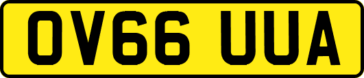 OV66UUA