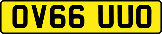 OV66UUO
