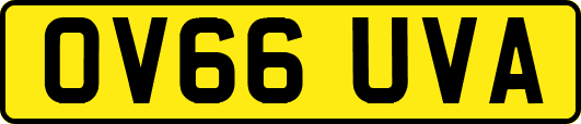 OV66UVA