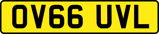 OV66UVL