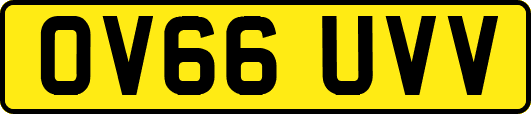 OV66UVV