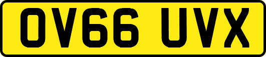 OV66UVX