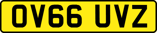 OV66UVZ