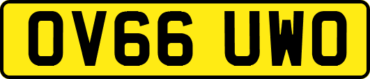 OV66UWO