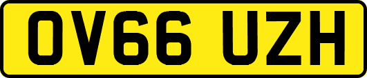 OV66UZH