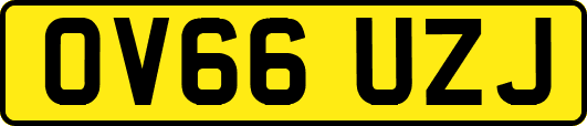 OV66UZJ