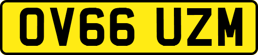OV66UZM