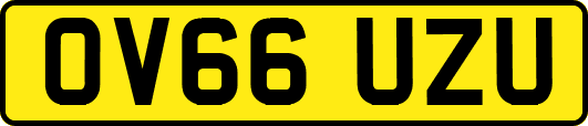OV66UZU
