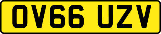 OV66UZV
