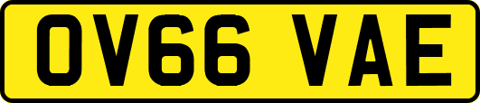 OV66VAE