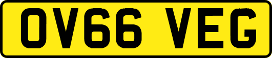 OV66VEG