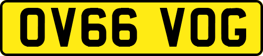 OV66VOG
