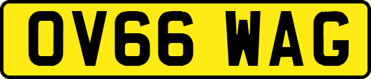 OV66WAG