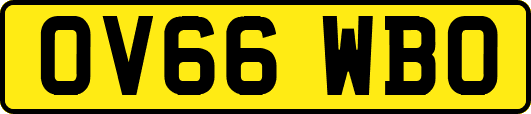 OV66WBO