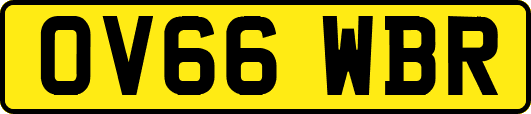 OV66WBR