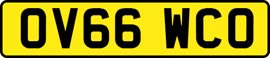 OV66WCO