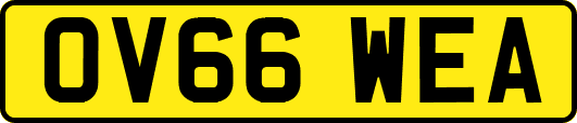 OV66WEA