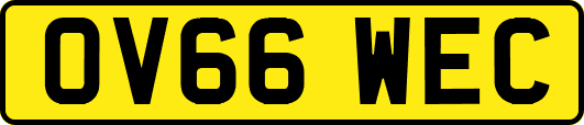 OV66WEC