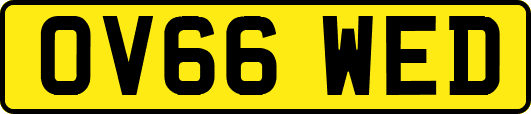 OV66WED
