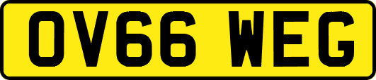 OV66WEG