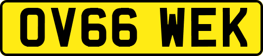 OV66WEK