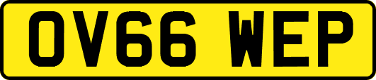 OV66WEP