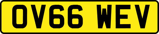 OV66WEV