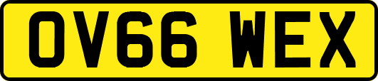 OV66WEX