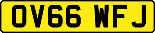 OV66WFJ