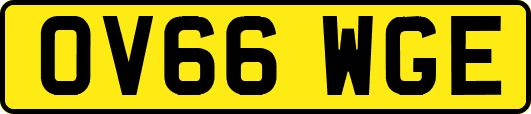 OV66WGE