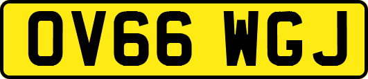 OV66WGJ