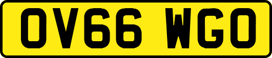 OV66WGO