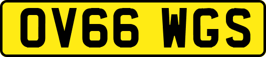 OV66WGS