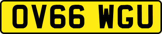 OV66WGU